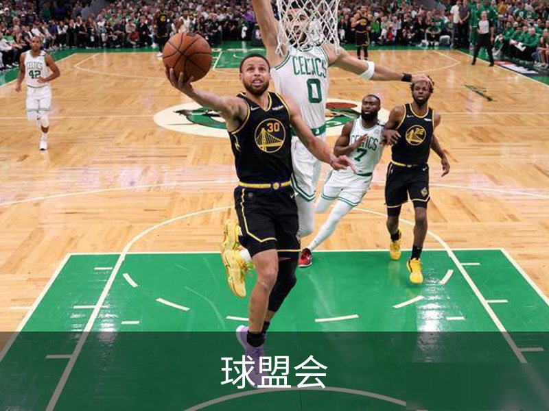 了解球盟会