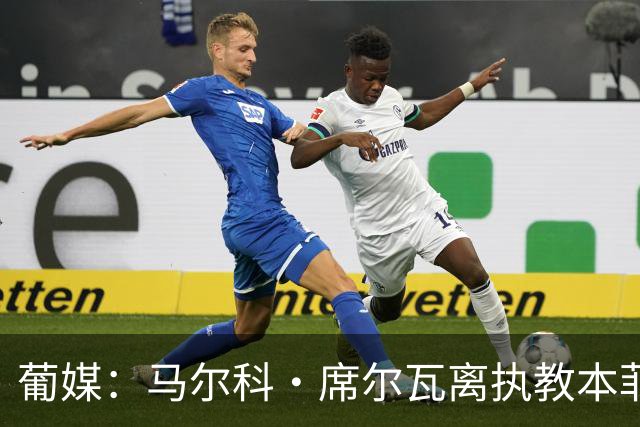 葡媒：马尔科·席尔瓦离执教本菲卡一步之遥，穆帅离任后就可签约